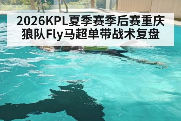 2026KPL夏季赛季后赛重庆狼队Fly马超单带战术复盘