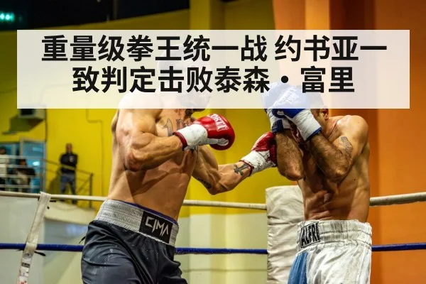 重量级拳王统一战 约书亚一致判定击败泰森·富里